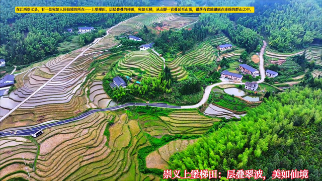 崇义上堡梯田：翠波层叠，绘就田园画卷