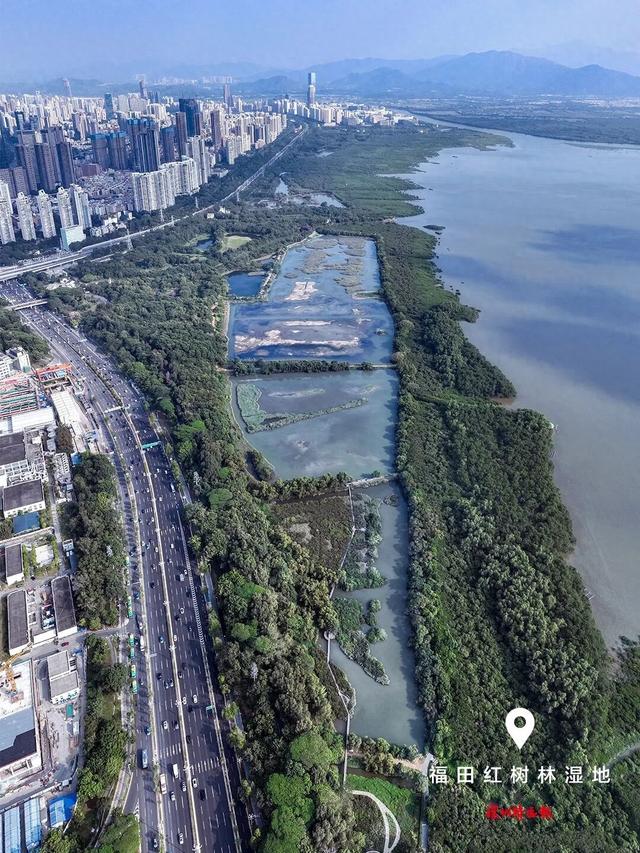 美丽深圳·每日一图｜2025年11月5日