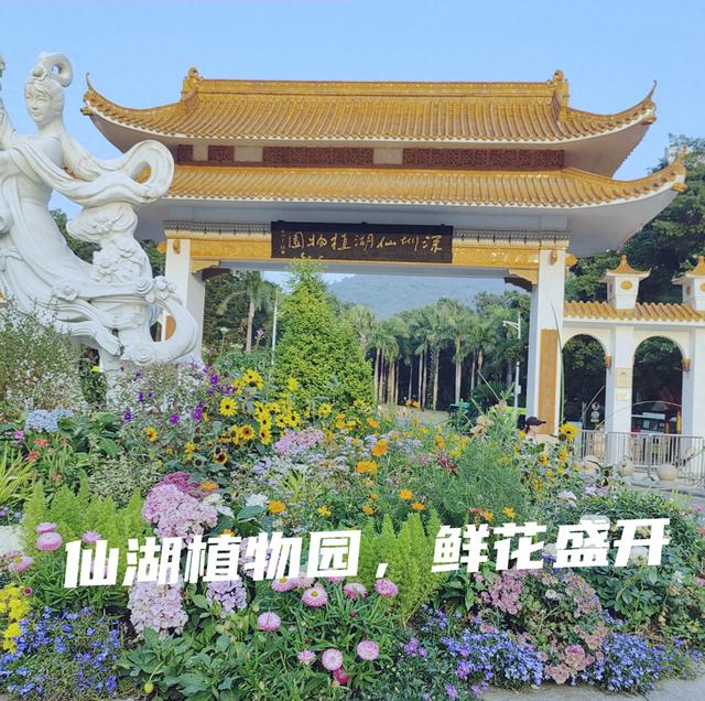 老年人的生活就是这样