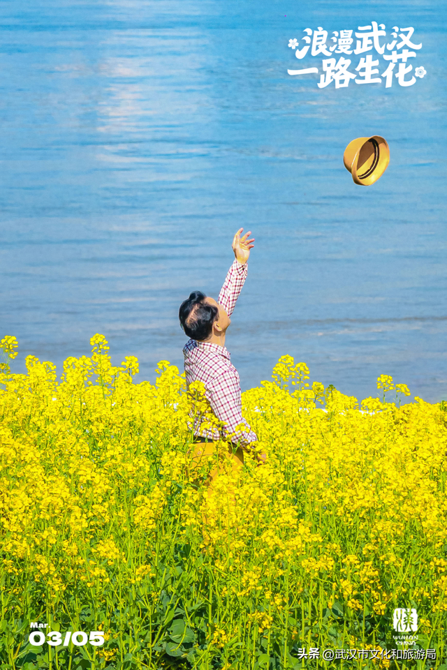 武汉春天最壮观的花海，全城盛开！