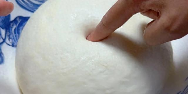 发面只加酵母和白糖就错了，教你正确做法，10分钟发满盆，太棒了