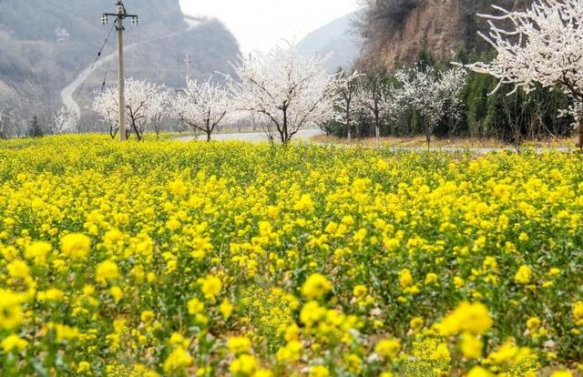 三月第一场撒欢，献给云丘山！错峰出游全攻略