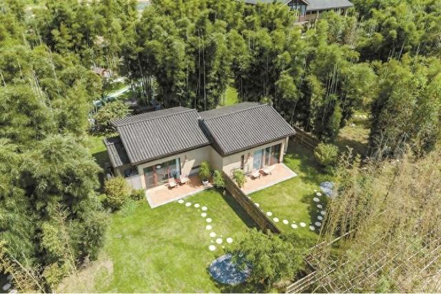 【深圳特区报】打造湾区“自然疗愈”新样板 深业新丰四季滨江田园开业