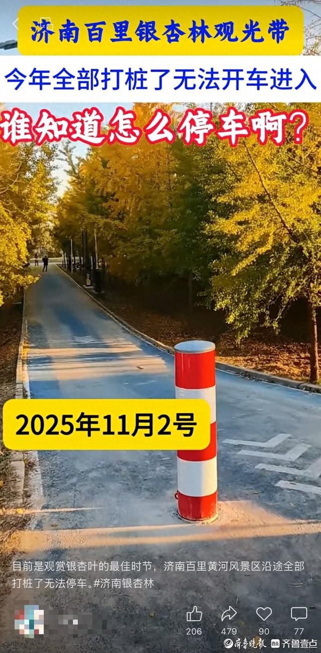 济南百里黄河风景区道路设路桩，相关部门：防止车辆驶入绿化区域