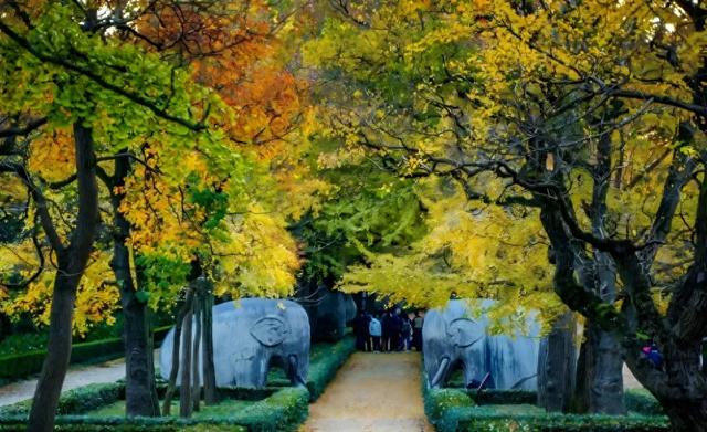 走,到钟山风景区找“对象”去!