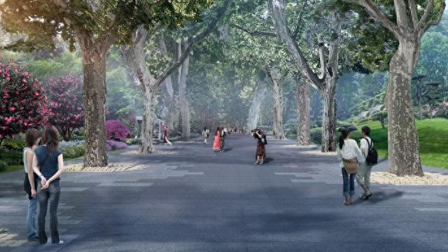 静安公园周五起闭园9个月，官方效果图抢先看！市民有啥期待？古树群怎么办？