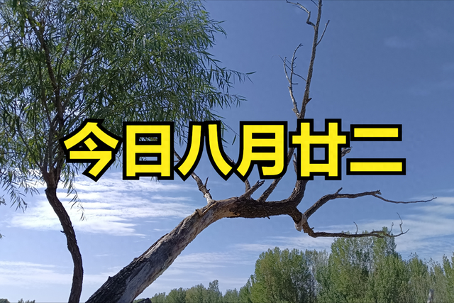 今日八月廿二，无论多忙，牢记：1不穿，2不去，3要吃，做4事！