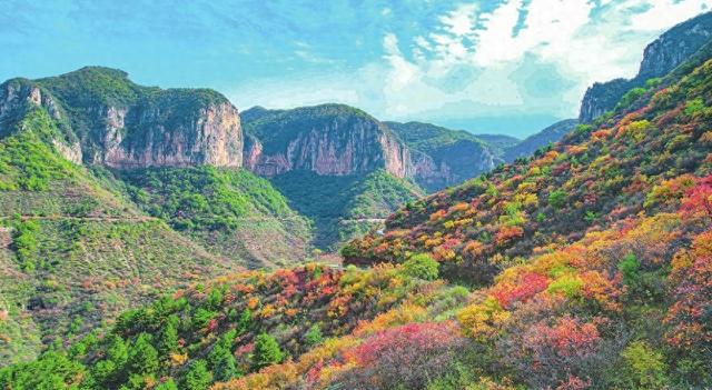 黎城县四方山景区漫山红叶，层林尽染，吸引众多市民游客前来观赏