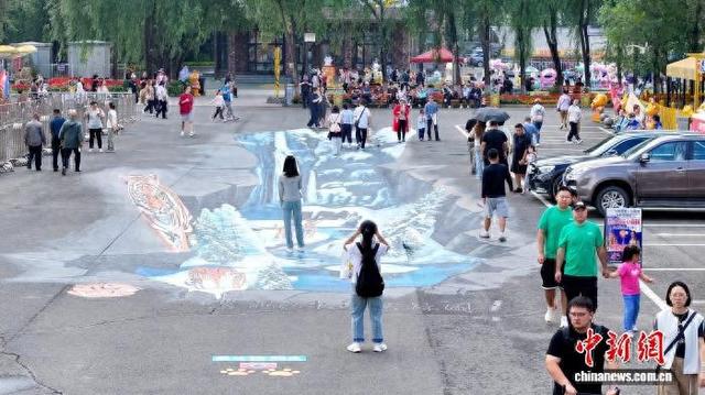 黑龙江：“千虎之园”添新玩法 东北虎“直卧”脚下