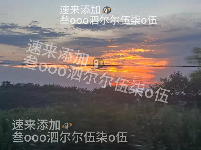 斗罗大陆h5攻略（斗罗大陆H5一些详细的攻略建议帮助玩家更好地享受游戏）