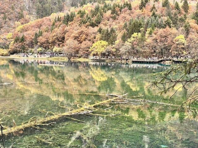 温泉暖身、红叶添彩 全省秋冬文旅市场持续“出圈”