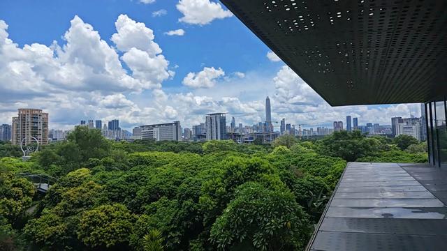 深圳，全国空气质量最好的特超大城市，从天空到地面都是风景