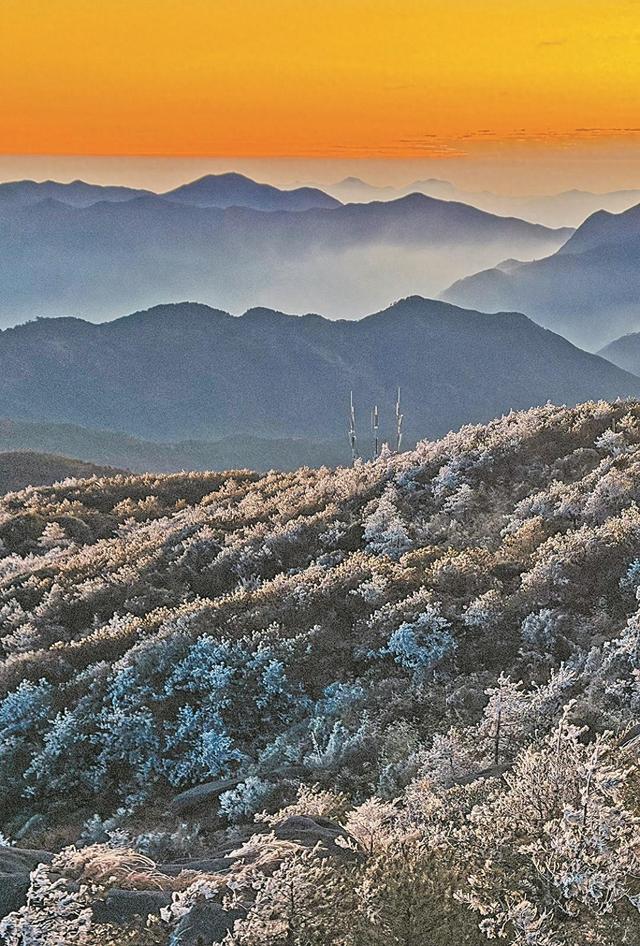 泉州德化：一夜雾凇起，漫山琉璃境