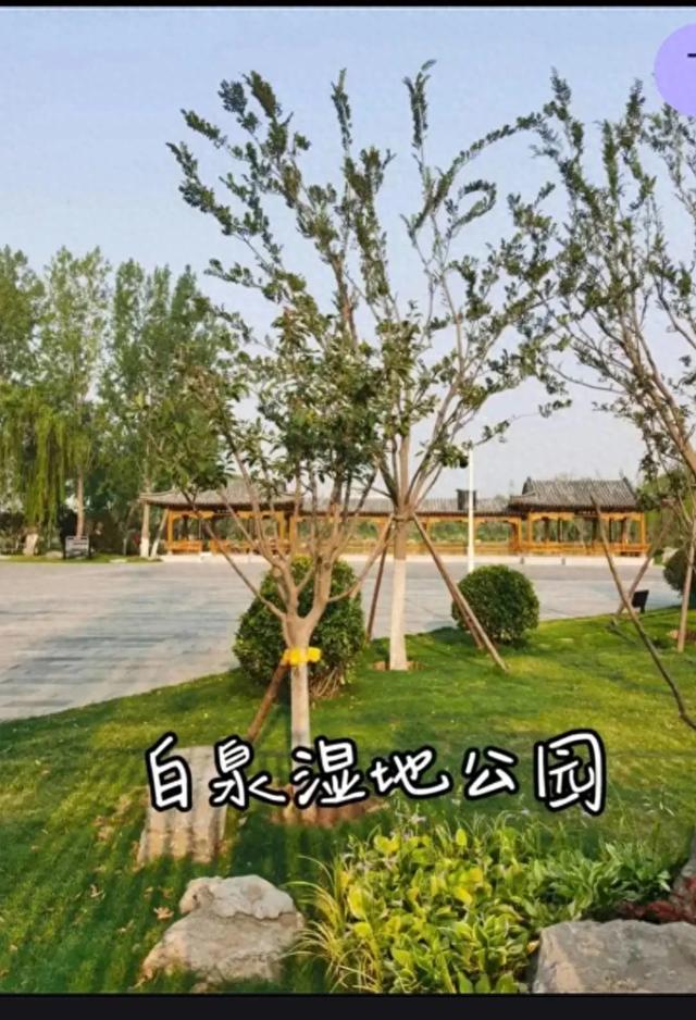 一座消失了半个世纪的千年名泉，变成了一座人人都能逛的生态公园