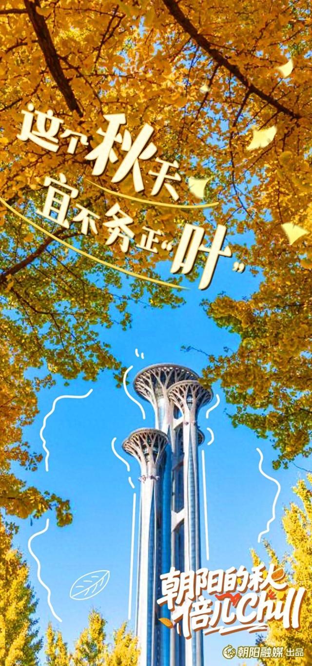 来北京朝阳，开启最chill的秋日漫游——