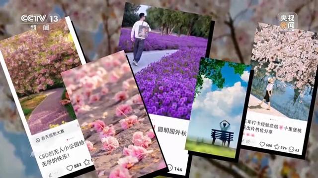 从家门口的公园里 解码城乡共同发展绿色密码