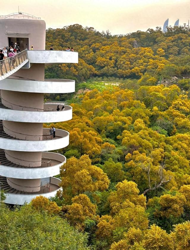 厦门思明区绝佳踏青露营地推荐，椰风寨、梅海岭、南湖公园很不错