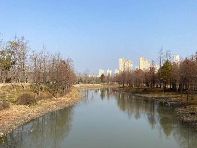 上海公园总数达到1100座！三林滨江城市森林“水森林”已基本建成，计划今年春天开放