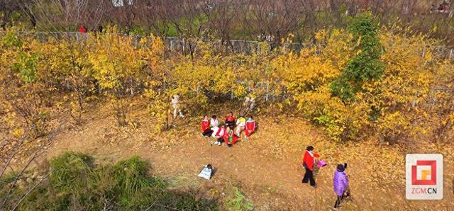 香气满园！自贡盐都植物园邀您赴一场冬日幽香之约