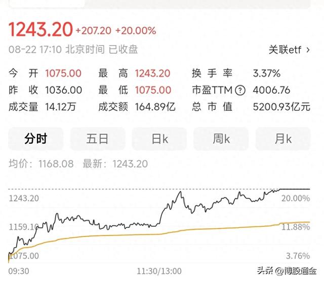 国内算力和芯片行业中的四大天王都有谁？