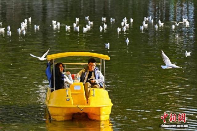 立冬节气 昆明天气晴好暖如春