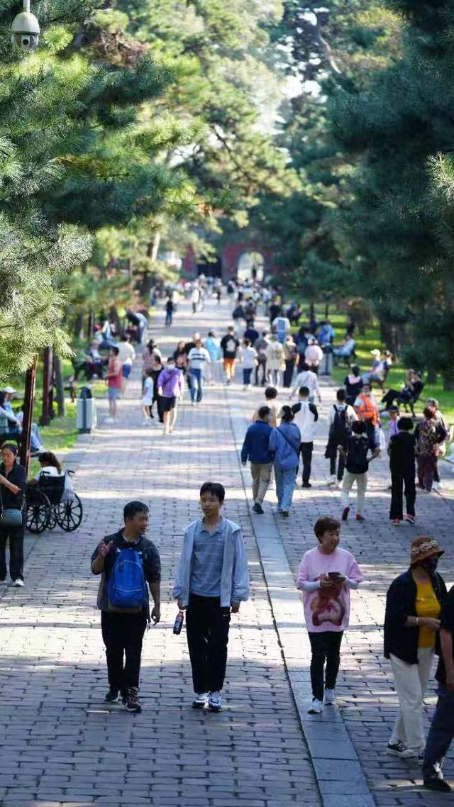 沈阳东陵公园“彩福季”圆满收官：以历史文化赋能旅游新体验，创假日经济高质量发展新范例