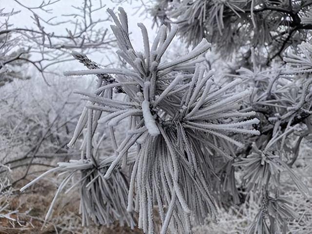 邂逅冬日美丽神话： 嵩山雾凇景观已惊艳上线