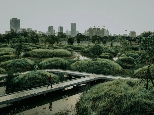 唐克扬：大多数城市公园，是看上去自然的“自然”