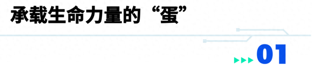 一颗“蛋”可以在张江孵化出什么？