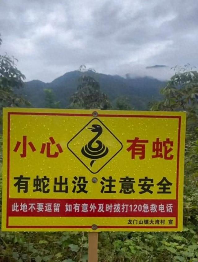 驴友登山发现大量与“蛇”相关告示牌，当地回应