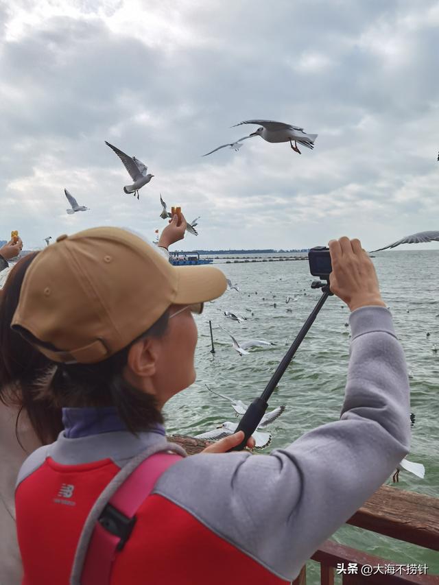 云南行·记·昆明篇D5昆明游最后一站，打卡滇池，与红嘴鸥悠然相遇