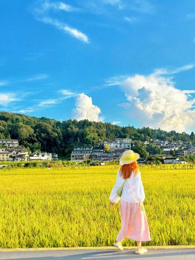 8月避暑出行，云南这座小城一定要去！均温23℃，清凉又舒服！