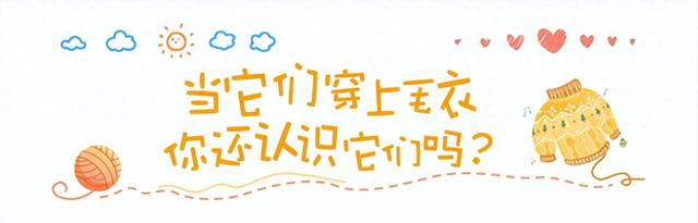 当黄山区标志建筑穿上温暖的毛衣，你还能认出来吗？ | 皖美冬日 | 第十五届安徽国际文化旅游节