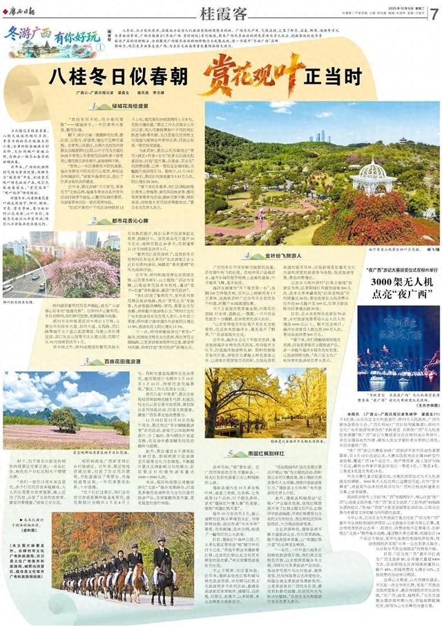 八桂冬日似春朝 赏花观叶正当时