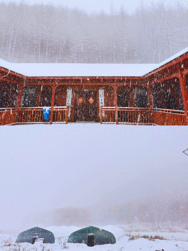 重庆初雪来袭❄️！开州雪宝山秒变冰雪童话！