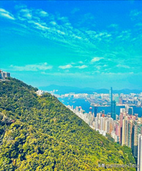 【旅游攻略】香港太平山：怎么爬上去？哪里可以免费拍维港全景？