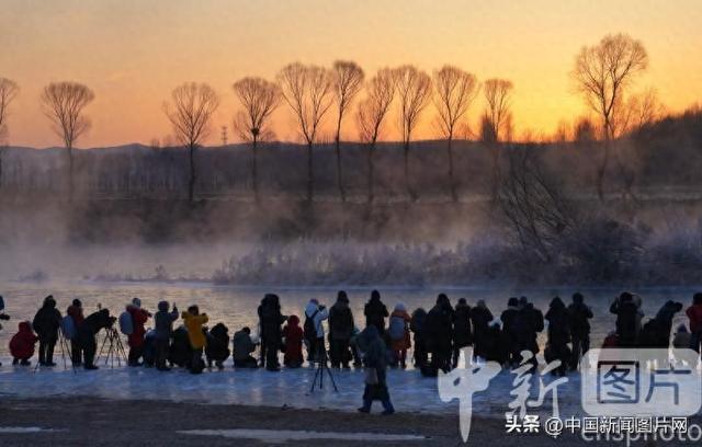辽宁朝阳：冬季到天鹅湾看天鹅