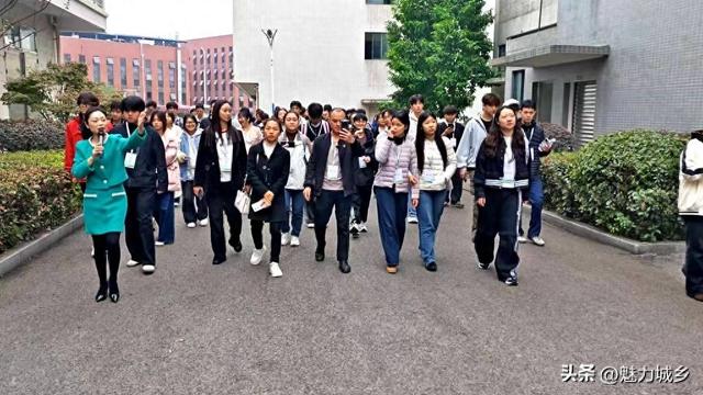 第三届“我是江津卖货官”电商大赛游学活动走进荷花集团