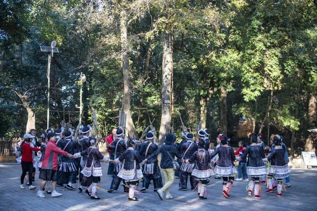 暖冬寻趣!贵州从江岜沙景区阳光相伴,民俗盛宴引