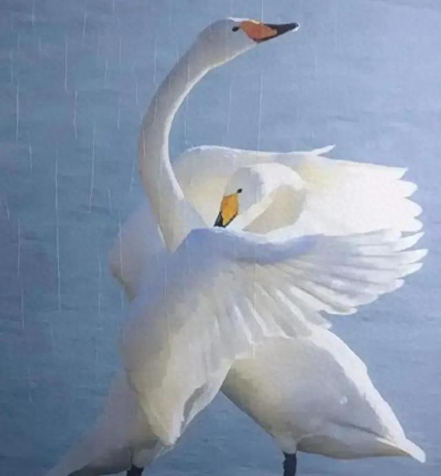 河南“黑马”三门峡：洛阳没预料	，开封没料到，偷偷自己出圈！