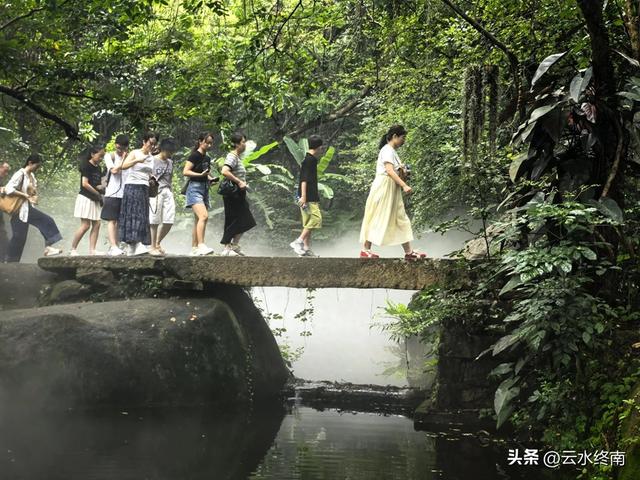 一个五A级植物园，到底藏着哪些值得看的地方，这是最实在的攻略