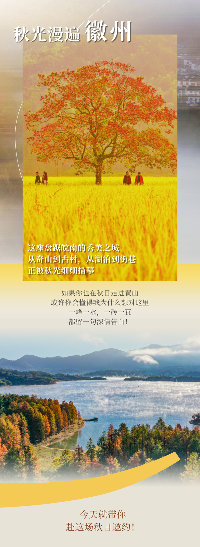 别等了！黄山的秋已铺满诗意，就差你的一句告白 | 皖美秋日