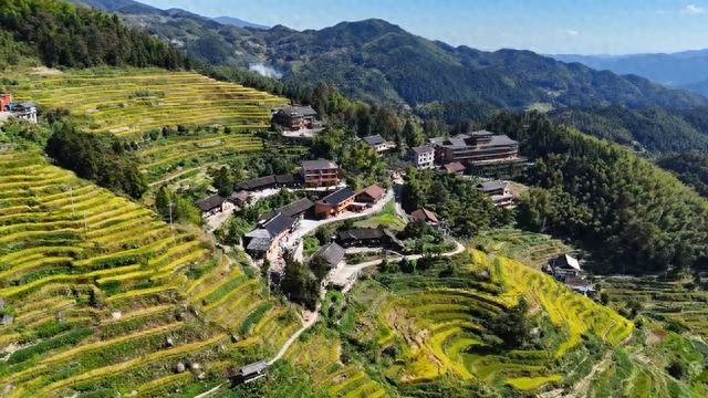 紫鹊界梯田：农耕文化助力解锁文旅新体验