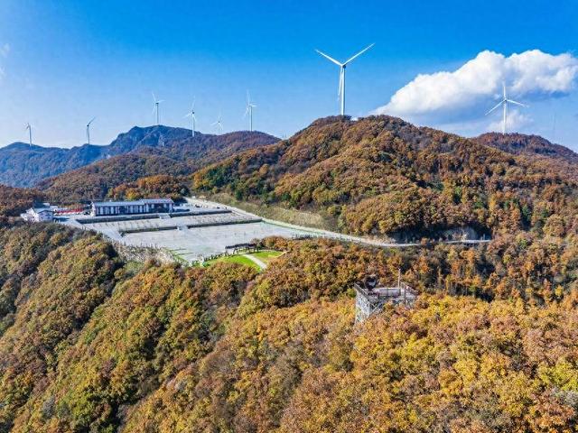 保康：彩林入画醉横冲 层林尽处听风吟