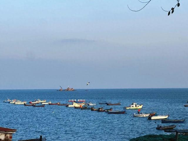 “鸥”遇环翠 “雪”舞浪漫丨威海这个地方，来一百次也不会腻