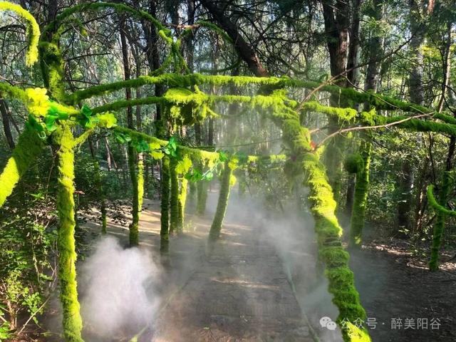 【景阳冈奇遇】这个夏天，闯入现实版童话秘境！