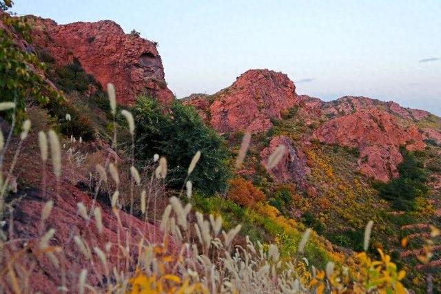点击解锁红山国家森林公园的秋日“童话世界”→
