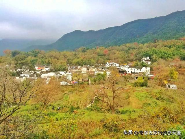 黟县塔川村初冬时节，一地落叶也是五彩斑斓