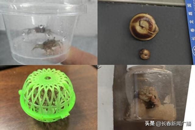 长春机场强化活体动物协查 筑牢暑期航空安全防线