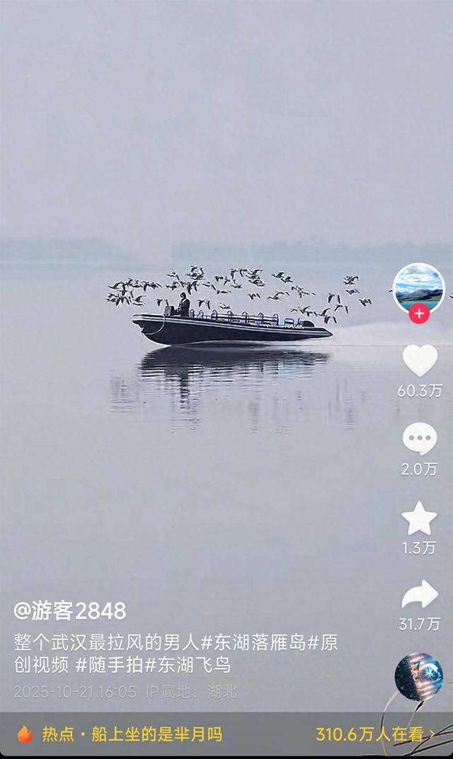 男子驾船大雁伴飞，武汉“最拉风”的人出现了